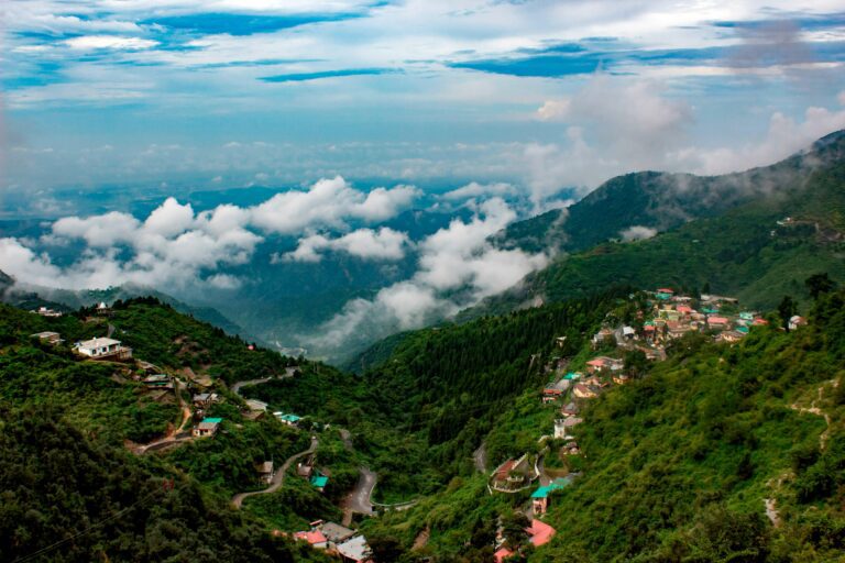 उत्तराखंड न्यूज