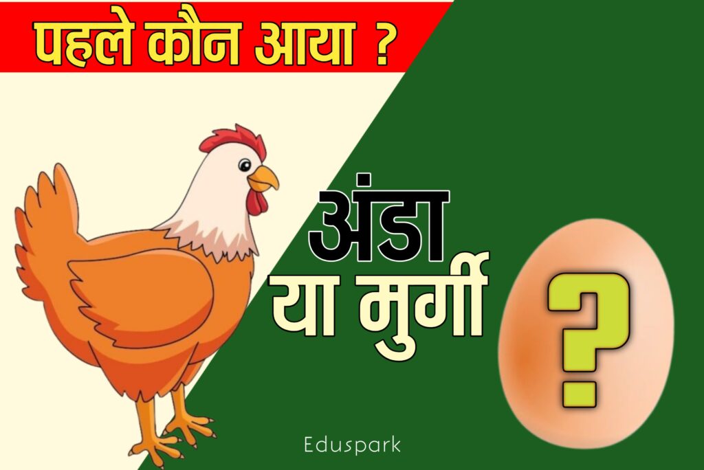 पहले मुर्गी आई या अंडा Murgi aayi ya anda