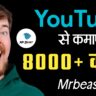 MrBeast मिस्टर बीस्ट Mr Beast youtube
