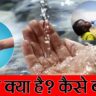 पानी