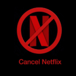 Netflix Cancel of US By Govt