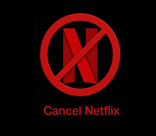 Netflix Cancel of US By Govt